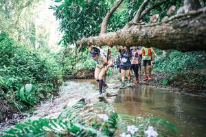 BIB: 
                            <button type="button" onclick="openModal(25477702)" class="btn btn-primary btn-sm float-right btn-popup" data-toggle="modal" data-target=".modal-high-quality">
                        <i class="fas fa-shopping-cart"></i> Add to Cart
                    </button>
                                            <button type="button" onclick="isThisMe(25477702, true)" class="btn btn-success btn-sm float-right btn-popup btn-isme hidden" data-toggle="tooltip" data-placement="bottom" title="นี่คือรูปของคุณใช่ไหม คลิกที่นี่เพื่อเอาเข้าอัลบั้ม">
                        <i class="fas fa-plus"></i> Add to album
                    </button>
                    <button type="button" onclick="isThisMe(25477702, false)" class="btn btn-warning btn-sm float-right btn-popup btn-isnotme hidden">
                        <i class="fas fa-ban"></i> Remove from album
                    </button>